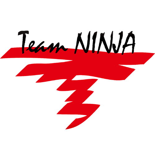 Team Ninja