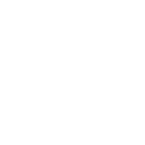 Toys for Bob