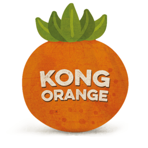 Kong Orange